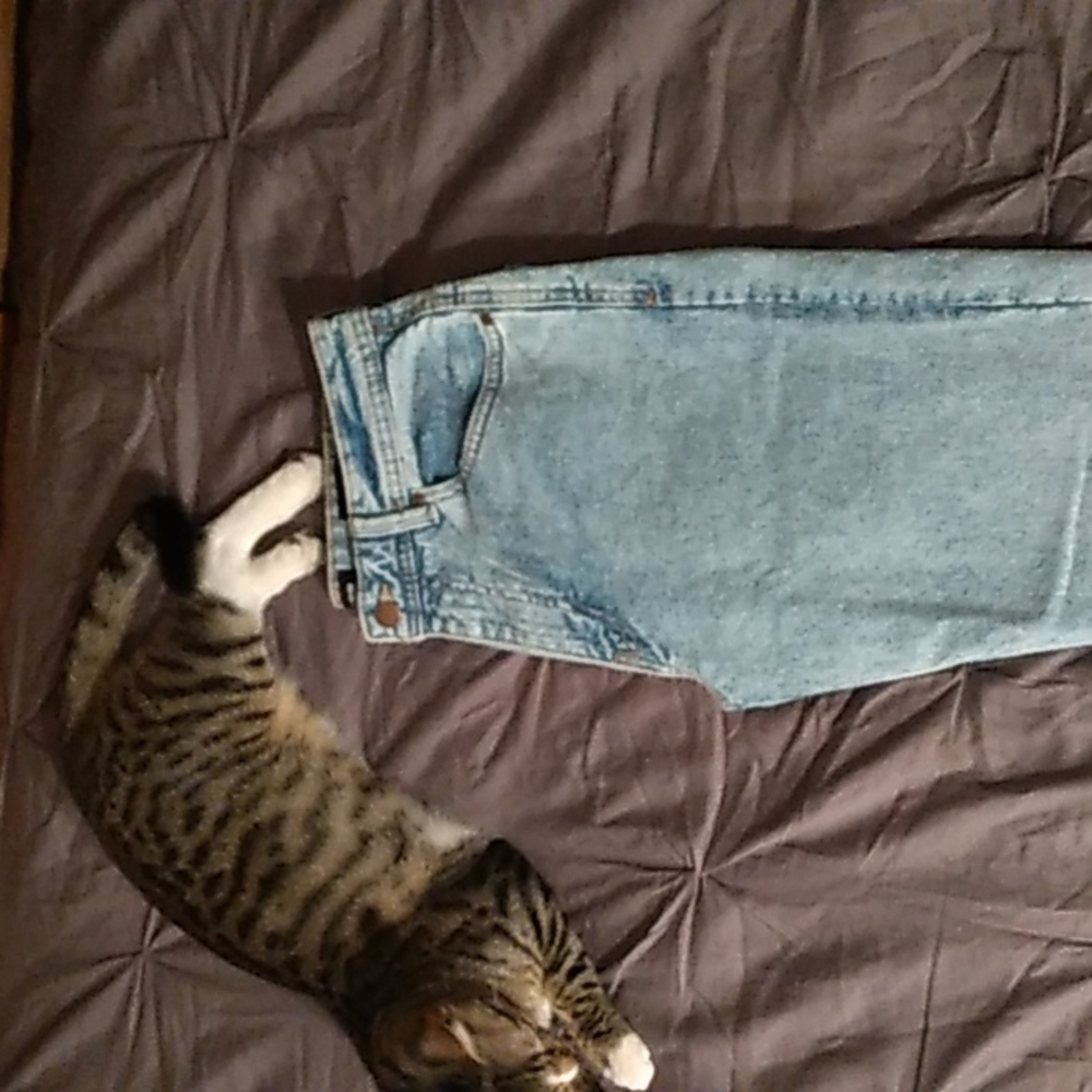 Jeans :)